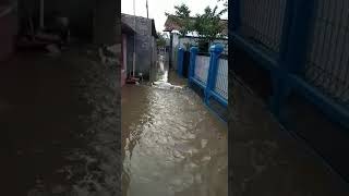 banjir di bekasi utara akibat meluapnya kali Bekasi dari arah Bogor