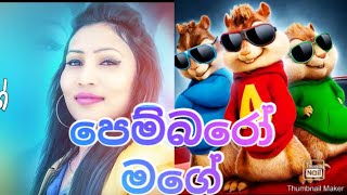 Pembaro Mage(පෙම්බරෝ )Bashi Madubashini  |  Chipmunk Version