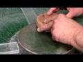 Polishing and Figuring Tips for an 8-in Telescope Mirror Polishing and Figuring Tips for an 8-in Telescope Mirror