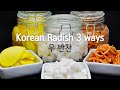 HOW TO MAKE KOREAN RADISH SIDE DISH | RADISH SIDE DISH | 무반찬을 만드는 세가지 방법 | 무반찬