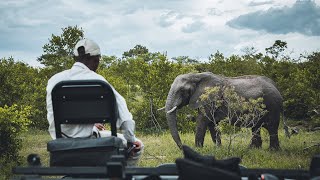 Uganda Animals: The Amazing Wildlife of Ugand so friendly with people