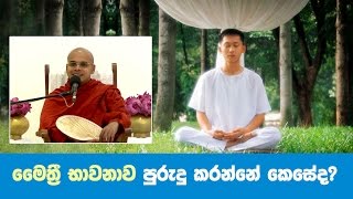 මෛත්‍රී භාවනාව පුරුදු කරන්නේ කෙසේද? | Ven Aludeniye Subodhi Thero