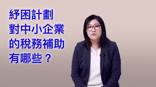 疫情期間 紓困計劃對中小企業的稅務補助有哪些？|美國紓困計劃 |刺激經濟法案 |The CARES ACT |資深會計師林懿