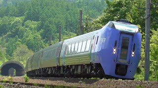 初夏の石勝線を駆ける列車〈特急おおぞら・特急とかち〉