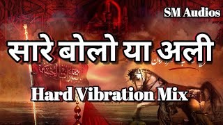 Sare Bolo Ya Ali DJ Mix | Vibration Mix | Muharram New Qawwali 2021 | सारे बोलो या अली | SM Audios
