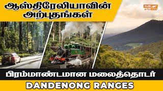 பிரம்மாண்டமான  மலைத்தொடர் | Dandenong Ranges | Australia Historical Videos