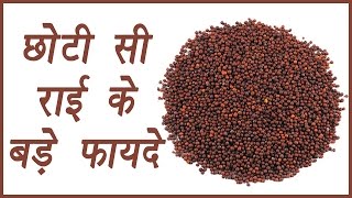 Mustard | Rye, राई | Health Benefits | छोटी सी राई के बड़े फायदे । Boldsky