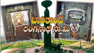 శ్వేతగిరి పై కొలువుతీరిన రంగనాథ స్వామి ఆలయం |  Sri Bolikonda Ranganatha Swamy Temple on the hilltop