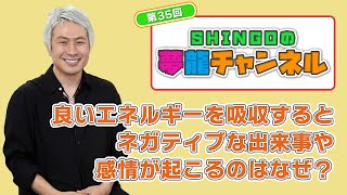 良いエネルギーを吸収するとネガティブな出来事や感情が起こるのはなぜ？｜第35回SHINGOの夢龍チャンネル