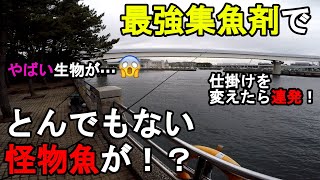 【神奈川県某所】最強集魚剤でとんでもない怪物魚が！？真冬の東京湾で液体タイプの集魚剤の検証を行っていたら、仕掛けを○○に変えたら魚が連発して、自己記録更新級の想定外の大型魚が…！【2023年1月中旬】