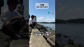 いっくんと行く 釣行記　〜 涸沼湖 ハゼ編 〜#涸沼湖#汽水湖#ハゼ#夏の思い出#子供と遊ぼう#唐揚げ