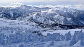 【2025年1月25日】奥入瀬渓流〜八甲田ドライブ【青空と雪壁に感動しながら】