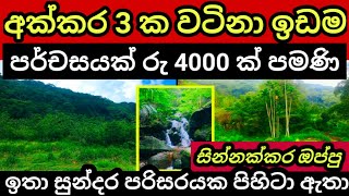 පර්චසයක් රු 4000 ක් පමණි | Agriculture land | Land for sale in sri lanka | Aduwata idam | House sale