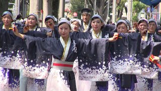 彩夏祭2024　関八州よさこいフェスタ　妃龍　(8/4 公園通り北)