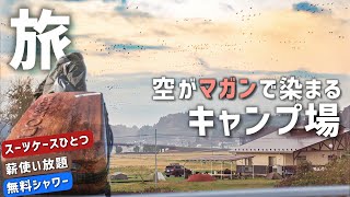 想像以上でした！朝に伊豆沼ラムサールの空を見て！