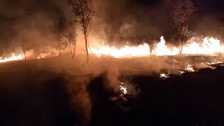 Forest fire at Bhor, Pune 31 January 2018