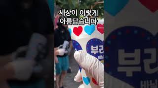 아직 세상은 살만합니다. 뭉클