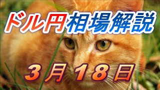 【TAKA FX】ドル円為替相場の前日の動きをチャートから解説。日経平均、NYダウ、金チャートも。3月18日