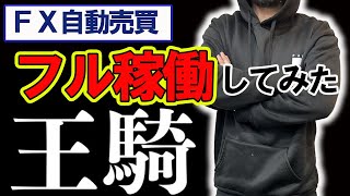 【FX 自動売買】王騎EA12月分の利益報告していきます！【王騎EA】