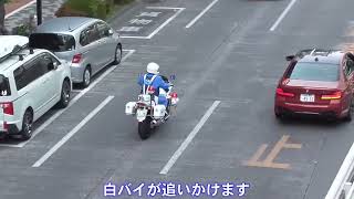 【リアル警察24\