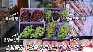 연 매출 9억 8천만 원! 과일 가게 MZ 세대 사장의 비결★