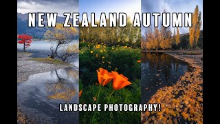 LANDSCAPE PHOTOGRAPHY - New Zealand Autumn