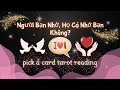 Người Bạn Nhớ, Họ Có Nhớ Bạn Không? 🩷🥰👀 #xemtarot