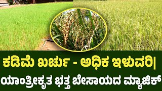 ಗದ್ದೆಯ ತುಂಬಾ ಸಮೃದ್ಧ ಭತ್ತದ ಫಸಲು| ಯಾಂತ್ರೀಕೃತ ಭತ್ತ ಬೇಸಾಯದ ಮ್ಯಾಜಿಕ್