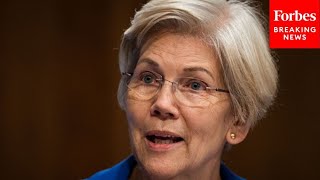 'It's A Real Problem': Elizabeth Warren Slams Practice Of Debanking, Calls For Bipartisan Action