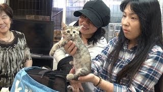 『みんな生きている　飼い主のいない猫と暮らして』映画オリジナル予告編