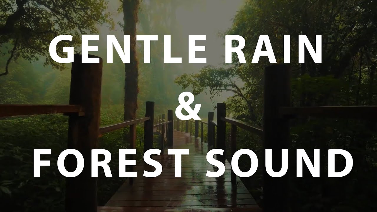 Rain Sounds For Sleeping ThunderㅣHeavy Rain For Sleep, Rainforest ...