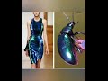 Dresses inspired by insects🐝🐞🦋😳😍#fashioninsta#dresses#insects#fashion#shorts#beautiful#dkshairstyles