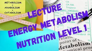 Energy Metabolism, Glycolysis, Ketogenesis, Starvation