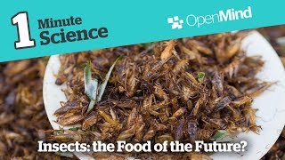 Insects: the Food of the Future? | Science pills