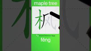 How to Write 枫(maple tree) in Chinese? App Name :《ViewChinese》\u0026《My HSK》