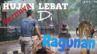 RAGUNAN....,SERUNYA TERABAS HUJAN LEBAT.....