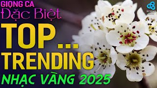 BOLERO Nhạc Xưa Mới 2024 - Mashup 9 in 1 - Nhạc Vàng Xưa ĐẶC BIỆT HAY I NGHE HAY NHẤT HIỆN NAY