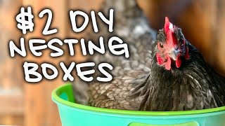 DIY CHEAP EASY Chicken Nesting Boxes | Only $2 from Dollar Tree | No Woodworking!