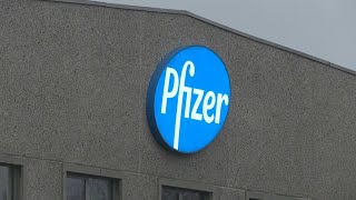 Pfizer inicia prueba de una píldora anticovid | AFP