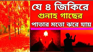 যে আমলে গাছের পাতার মতো গুনাহ ঝরে | বা, যে আমলে গুনা মাফ হয় #দ্বীনী_মিডিয়া