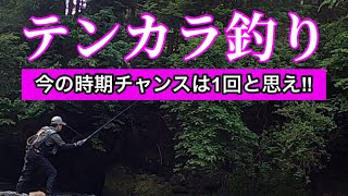 【テンカラ釣り】チャンスは1回‼︎