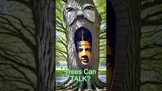 TREES CAN TALK?!