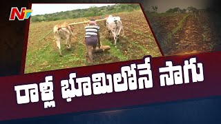 రాళ్ల భూమిలోనే సాగు | సంగారెడ్డి రైతుల స్పెషల్ స్టోరీ | NTV