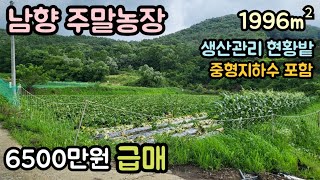 (매물번호14089) 6500만원 1996㎡(604) 보은부동산 보은땅 보은토지매매매물 청주부동산 청주토지 시골땅 촌땅 싼땅 농막 주말농장 전원주택지 집터 대전부동산 대전토지