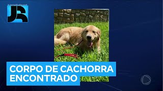 Corpo de cachorra desaparecida é encontrado enterrado no quintal da casa de adestrador no RJ