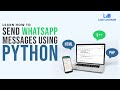 Send Whatsapp message using Python. #trendingshorts #shorts #viralshorts