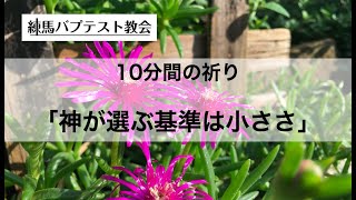 「神が選ぶ基準は小ささ」10分間の祈り 申命記7:7 蒔田望牧師