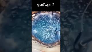 സംസം കിണർ അമൂല്യങ്ങളിൽ അമൂല്യം മക്ക  ഹറം  ഷെരീഫിൽ സംസം കിണർ നേരിട്ട്  വീഡിയോ കാണൂ