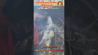 ஆனி திருமஞ்சனம் அருள்மிகு நடராஜர் பால் அபிஷேகம் God Almighty #natarajar #shiva #aanithirumanjanam