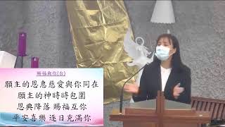 《台東基督長老教會2025.02.16》你選擇把樹種在哪?